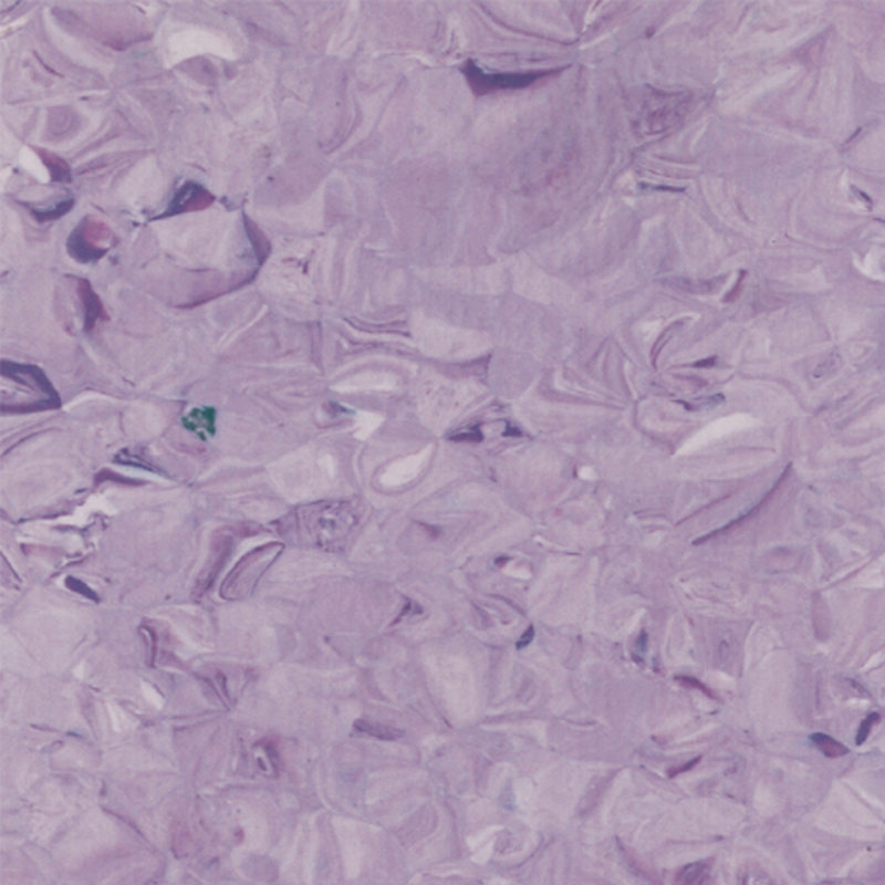 perfectbalance homogeni pod