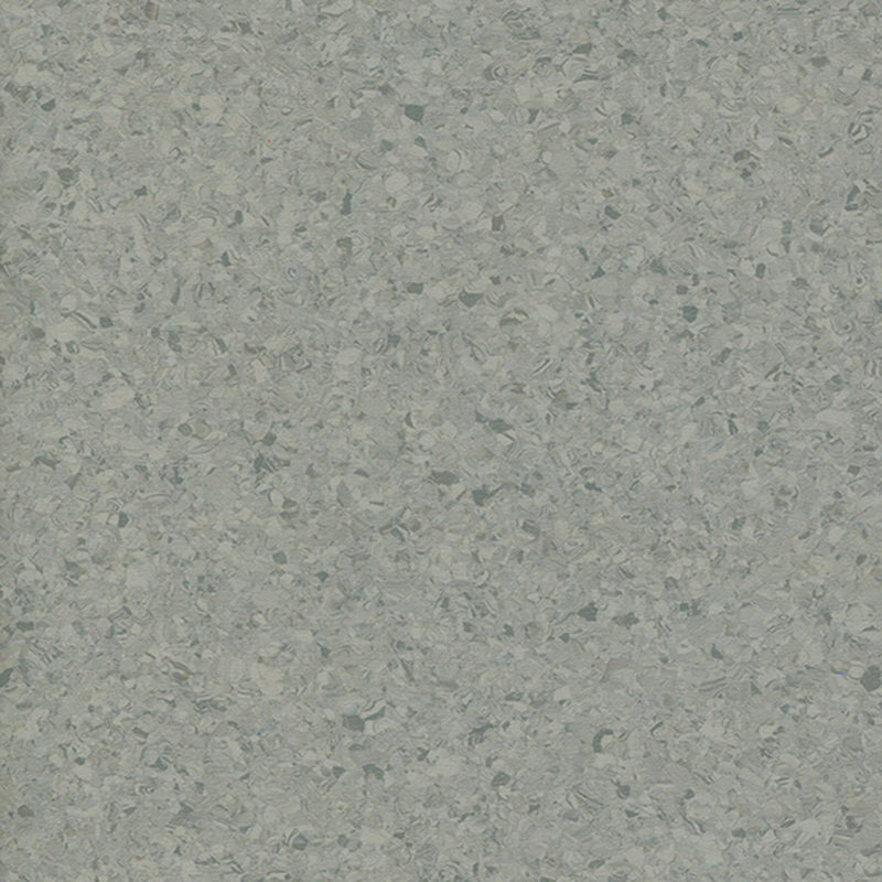 Višebojni homogeni pod