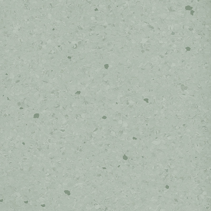 Višebojni homogeni pod