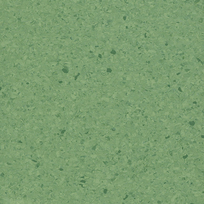 Višebojni homogeni pod