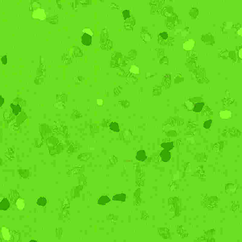 Gumeni pod otporan na ogrebotine i visoke elastičnosti