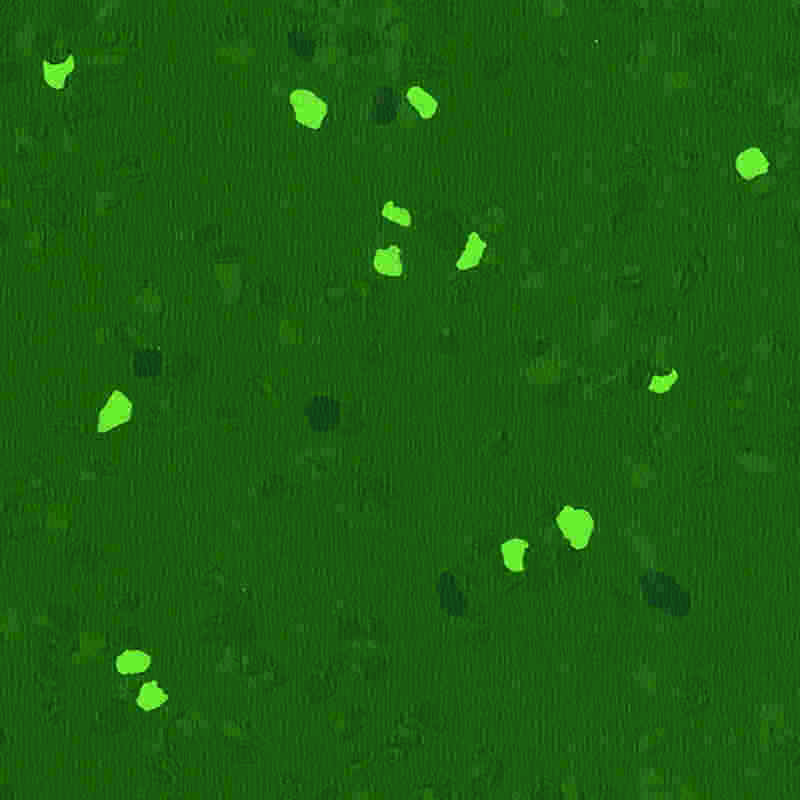 Gumeni pod otporan na ogrebotine i visoke elastičnosti