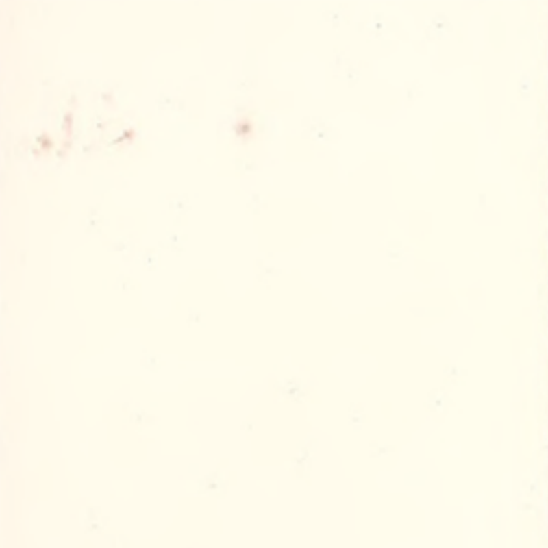 Visoka prilagodljivost i bešavne gumene podnice