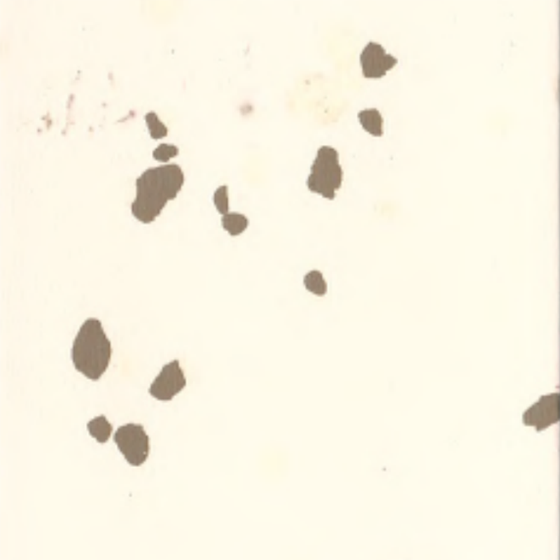 Ekološki gumeni podovi